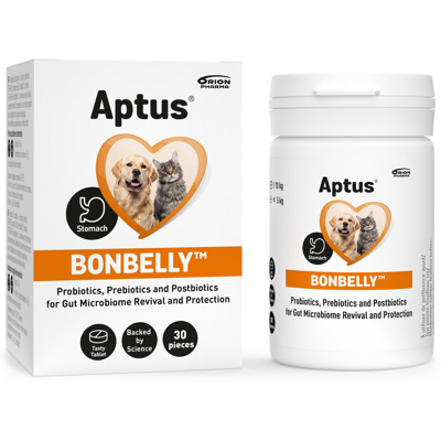 Aptus Bonbelly - Tukee ruoansulatusta - 30 tablettia Aptus Bonbelly - Tukee ruoansulatusta - 30 tablettia