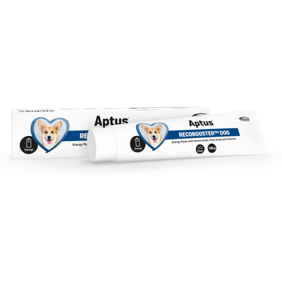 Aptus Recobooster Dog pasta 100 g Aptus Recobooster Dog pasta 100 g