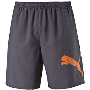 PUMA Men's Hose PT Ess Dry WVN Short Trousers, Periscope-Vermillion Org, Large PUMA Men's Hose PT Ess Dry WVN Short Trousers, Periscope-Vermillion Org, Large