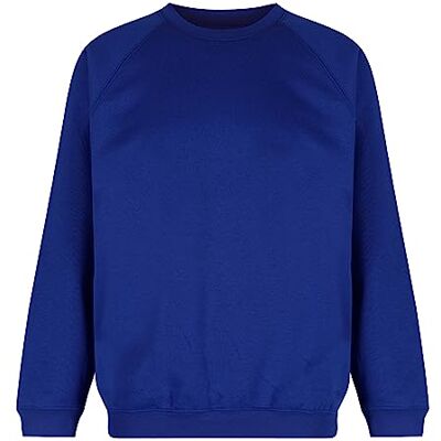 Trutex Limited Unisex Crew Neck Plain Sweatshirt, Cobalt, 9-10 Years (Manufacturer Size: 25-27" Chest) Trutex Limited Unisex Crew Neck Plain Sweatshirt, Cobalt, 9-10 Years (Manufacturer Size: 25-27" Chest)