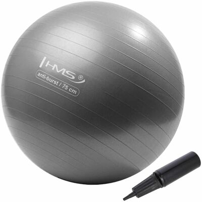 HMS YB02N Hopeas gymnastics ball - Gymnastics ball HMS YB02N Hopeas gymnastics ball - Gymnastics ball