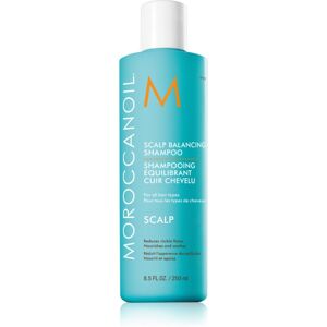 Moroccanoil Päänahan Tasapainottava Shampoo - Sekoitetut ja Kuivat Päänahat Moroccanoil Päänahan Tasapainottava Shampoo - Sekoitetut ja Kuivat Päänahat
