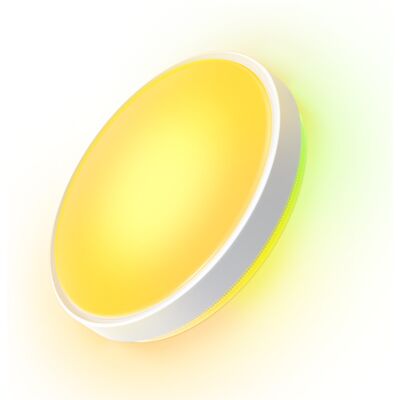 Govee H60A6 Älykäs LED kattovalaisin - RGBWW RGBICWW - 39cm Govee H60A6 Älykäs LED kattovalaisin - RGBWW RGBICWW - 39cm