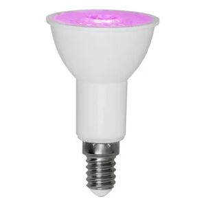 Star trading LED kasvivalo - Vekstpære E14 3,5W Star trading LED kasvivalo - Vekstpære E14 3,5W
