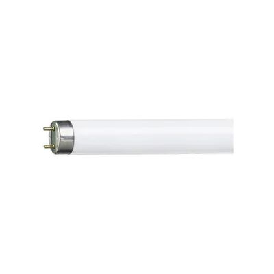 Bellight Bellight Loisteputket T8 3250lm 36W/865 G13, 1200mm SE36120026860 Vastaa: N/A Bellight Bellight Loisteputket T8 3250lm 36W/865 G13, 1200mm SE36120026860 Vastaa: N/A