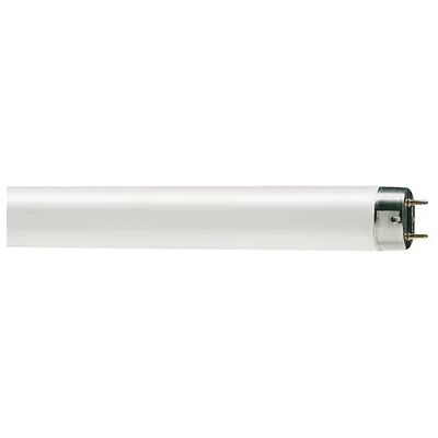 Bailey Electric & Electronics - 145957 - 8 W - T5 - Lamppu Bailey Electric & Electronics - 145957 - 8 W - T5 - Lamppu