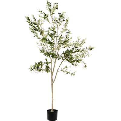 Beliani Tekokasvi OLIVE TREE 178 cm Vihreä Beliani Tekokasvi OLIVE TREE 178 cm Vihreä