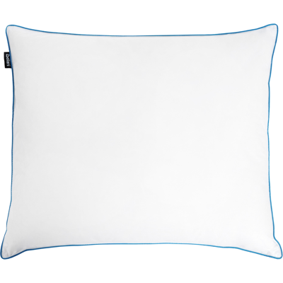 Beliani Tyyny ANETO Matala ankanhöyhenet ja -untuva 80 x 80 cm Valkoinen Beliani Tyyny ANETO Matala ankanhöyhenet ja -untuva 80 x 80 cm Valkoinen