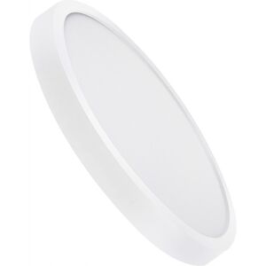 NETTLIFE litteä LED - kattovalaisin 18 cm - 15 W, valkoinen, 6000 K - moderni valaistus keittiöön, eteiseen, makuuhuoneeseen NETTLIFE litteä LED - kattovalaisin 18 cm - 15 W, valkoinen, 6000 K - moderni valaistus keittiöön, eteiseen, makuuhuoneeseen
