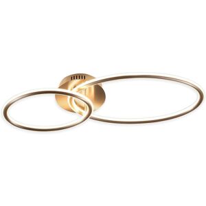 NETTLIFE Nettlife LED-kattovalaisin, olohuoneen kattovalaisin, moderni muotoilu renkailla, lämmin valkoinen valo 3000K makuuhuoneen lamppu 29W 62,5cm NETTLIFE Nettlife LED-kattovalaisin, olohuoneen kattovalaisin, moderni muotoilu renkailla, lämmin valkoinen valo 3000K makuuhuoneen lamppu 29W 62,5cm