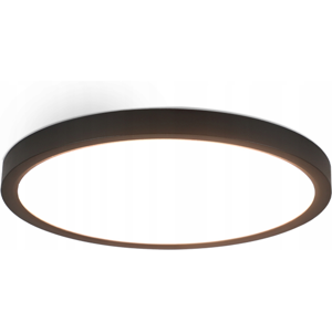 NETTLIFE LED - kattovalaisin, litteä, musta, 4000K, makuuhuoneeseen, 24W Kylpyhuoneeseen, eteiseen, pyöreäKeittiöön NETTLIFE LED - kattovalaisin, litteä, musta, 4000K, makuuhuoneeseen, 24W Kylpyhuoneeseen, eteiseen, pyöreäKeittiöön