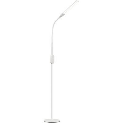 NETTLIFE 158 cm salonkivalaisin LED – Himmennettävä, säädettävä, moderni kosketuskytkin, 9 W, ajastimella ja muistitoiminnolla NETTLIFE 158 cm salonkivalaisin LED – Himmennettävä, säädettävä, moderni kosketuskytkin, 9 W, ajastimella ja muistitoiminnolla