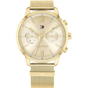 Tommy Hilfiger Naisten kello 1782302 Blake Kullattu/Kullansävytetty Tommy Hilfiger Naisten kello 1782302 Blake Kullattu/Kullansävytetty
