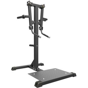 Impulse Standing Lateral Raise Black Impulse Standing Lateral Raise Black