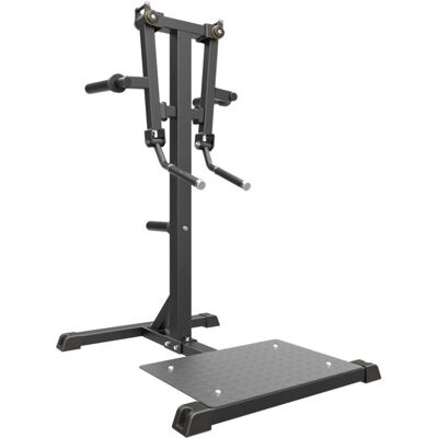 Impulse Standing Lateral Raise Black Impulse Standing Lateral Raise Black