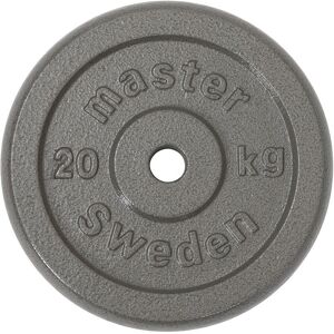 Master Fitness Skolvikt 25 mm, Viktskivor järn - 20 kg 20 kg Master Fitness Skolvikt 25 mm, Viktskivor järn - 20 kg 20 kg