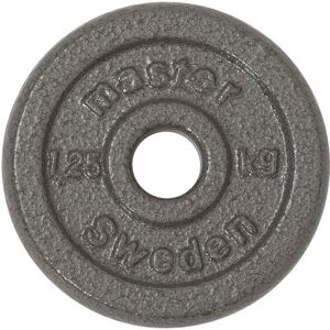 Master Fitness Skolvikt 25 mm, Viktskivor järn Master Fitness Skolvikt 25 mm, Viktskivor järn