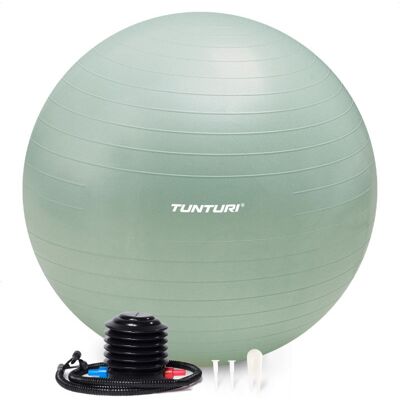 Tunturi Mint Anti Burst Fitness pallo 75cm - Tukee jopa 220 kg Tunturi Mint Anti Burst Fitness pallo 75cm - Tukee jopa 220 kg