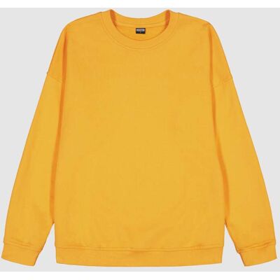R-Collection Malla-collegepaita, tangeriini - XL R-Collection Malla-collegepaita, tangeriini - XL