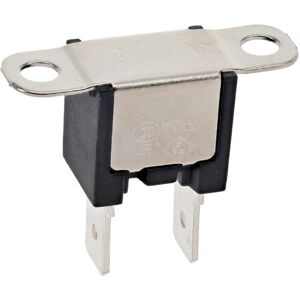 AEG sulake lämpö- 4055447389 AEG sulake lämpö- 4055447389
