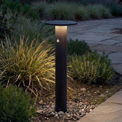 Arcchio LED-pylväsvalaisin Tovio, korkeus 81 cm, anturi, antrasiitti Tovio, Alumiini/harmaa/sinkki, Alumiini, Moderni Arcchio LED-pylväsvalaisin Tovio, korkeus 81 cm, anturi, antrasiitti Tovio, Alumiini/harmaa/sinkki, Alumiini, Moderni