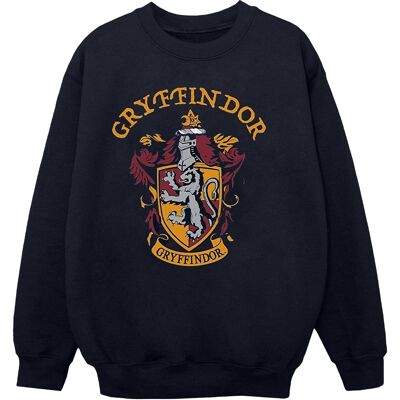 Harry Potter Poikien Gryffindor Puuvillainen Collegepaita Harry Potter Poikien Gryffindor Puuvillainen Collegepaita