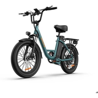 Sähköpyörä - URLIFE - E20 - Moottori 250 W - Akka 48 V 13 Ah - 20 tuuman maastorenkaat Sähköpyörä - URLIFE - E20 - Moottori 250 W - Akka 48 V 13 Ah - 20 tuuman maastorenkaat