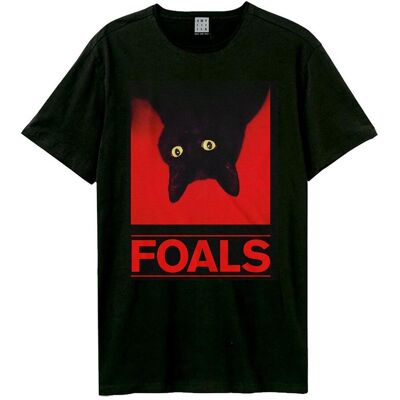 Amplified Unisex Aikuisten Musta Kissa Foals T-paita Amplified Unisex Aikuisten Musta Kissa Foals T-paita
