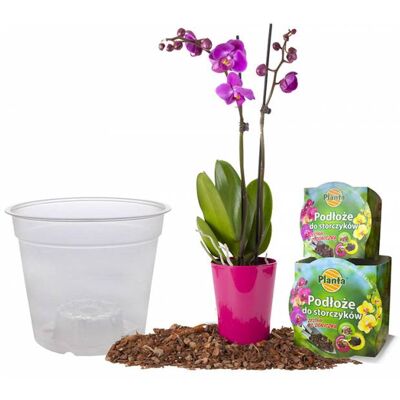 Orkidean multaa setti ruukulla 1,1 l Orkidean multaa setti ruukulla 1,1 l