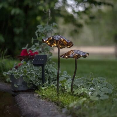 Star Trading Lumini Solar Sienet Star Trading Lumini Solar Sienet