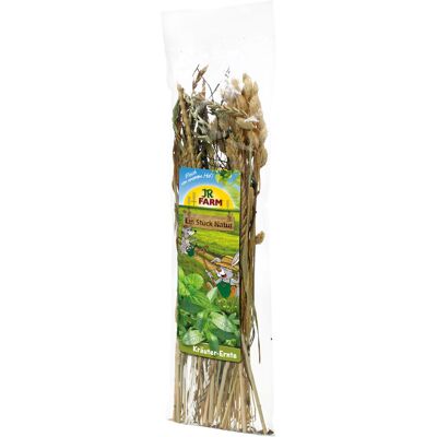 JR Farm Jr. Farm Herb Harvest Yrttiheinät jyrsijän herkku 80g JR Farm Jr. Farm Herb Harvest Yrttiheinät jyrsijän herkku 80g