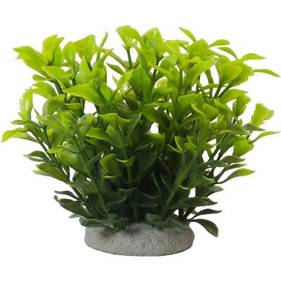 Nobby Aqua Ornaments Ludwigia Green Nobby Aqua Ornaments Ludwigia Green