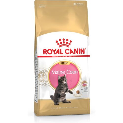 Royal Canin Maine Coon Kitten kissojen kuivaruoka Siipikarja,Riisi 4 kg