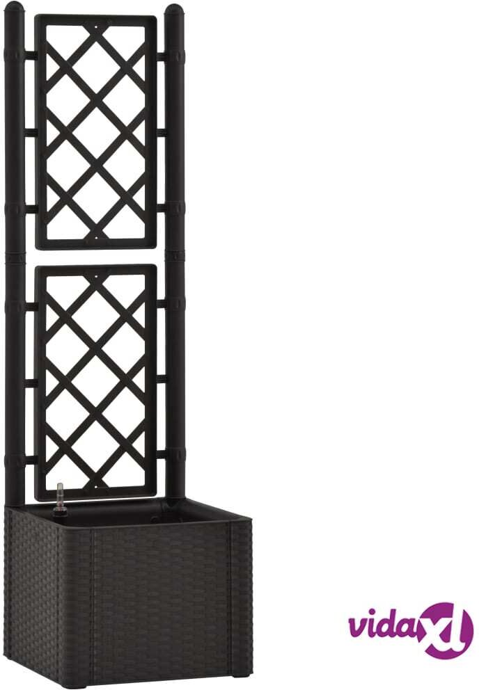 vidaXL Itsekasteleva korotettu kukkalaatikko säleiköllä antrasiitti vidaXL Itsekasteleva korotettu kukkalaatikko säleiköllä antrasiitti