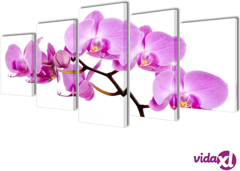 vidaXL Taulusarja Orkidea 100 x 50 cm vidaXL Taulusarja Orkidea 100 x 50 cm
