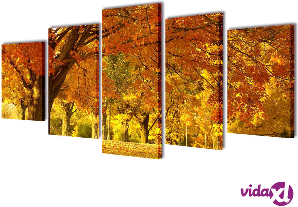 vidaXL Taulusarja Vaahtera 100 x 50 cm vidaXL Taulusarja Vaahtera 100 x 50 cm