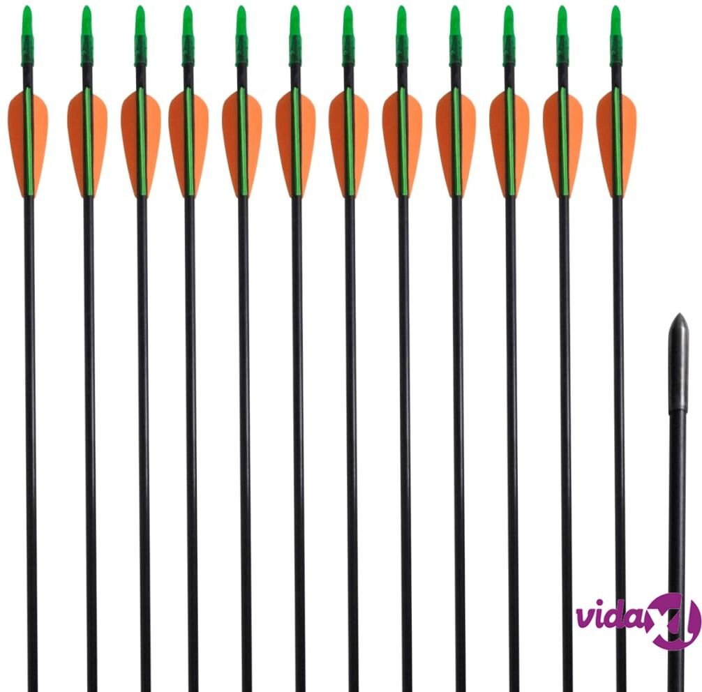vidaXL Jousipyssyn Nuolet 30" 0,6 cm Lasikuitu12 kpl vidaXL Jousipyssyn Nuolet 30" 0,6 cm Lasikuitu12 kpl