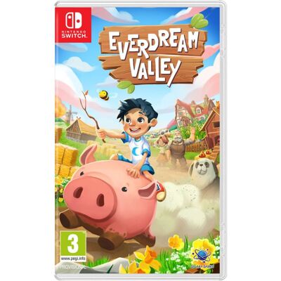Nintendo Everdream Valley Switch Nintendo Everdream Valley Switch