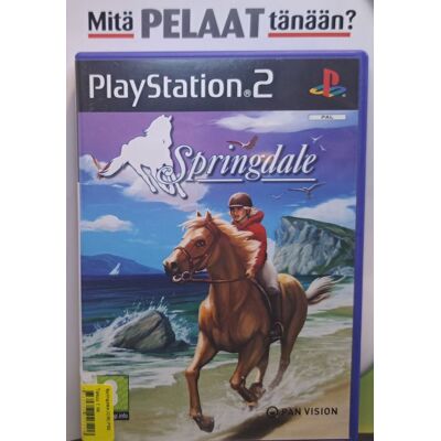 Springdale (CIB) PS2 (Käytetty) Springdale (CIB) PS2 (Käytetty)