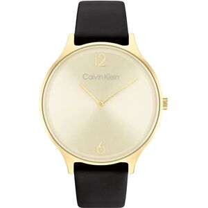 Calvin Klein Timeless 2H 25200008