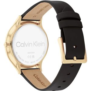 Calvin Klein Timeless 2H 25200008