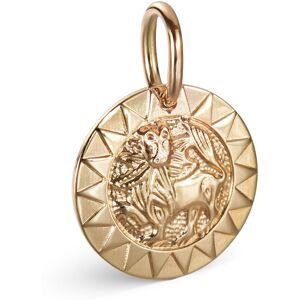 Kalevala Amuletti Aurinkoleijona hela pieni 14k kulta 18703133 Kalevala Amuletti Aurinkoleijona hela pieni 14k kulta 18703133
