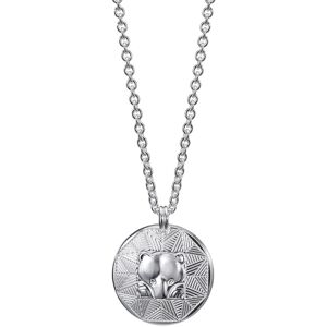 Kalevala Amuletti Pohjankarhu kaulakoru iso hopea 2270314460 Kalevala Amuletti Pohjankarhu kaulakoru iso hopea 2270314460
