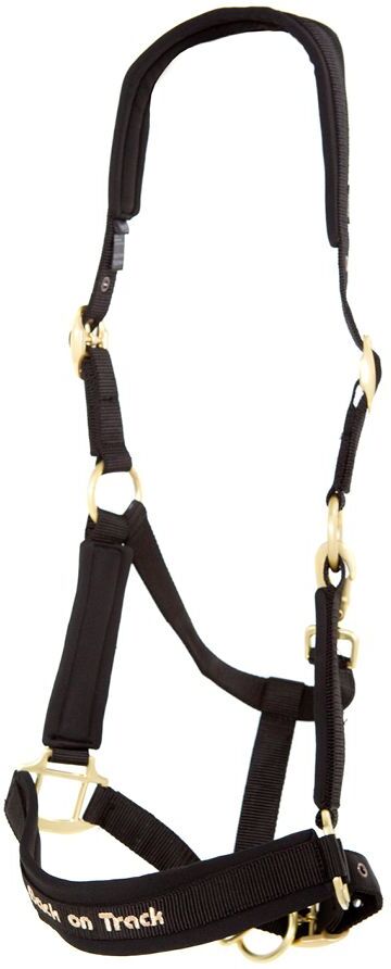 Back on Track Werano riimu Back on Track Werano riimu