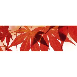 Keittiön välitila Red leaves 260x60 cm