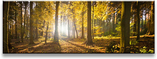 Taulu WALD 120x40 cm Taulu WALD 120x40 cm