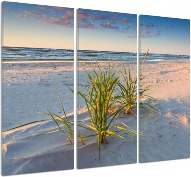 Kolmeosainen taulu Green grass on the beach 3D 90x80 cm