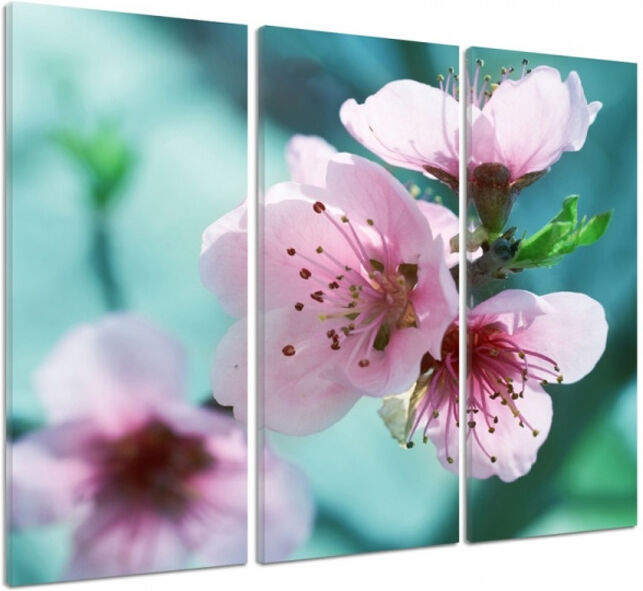 Kolmeosainen taulu Cherry blossoms 3D 90x80 cm