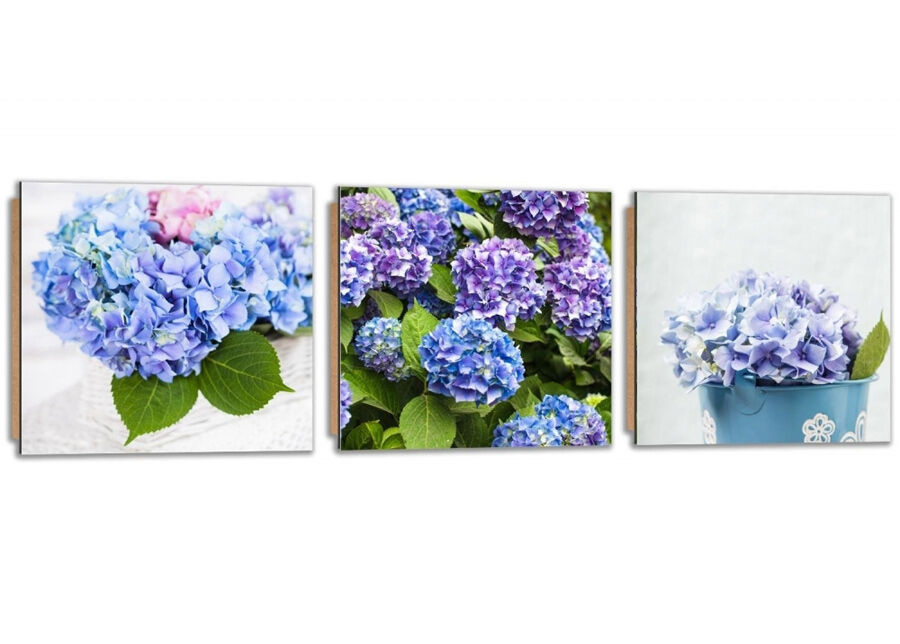 Kolmeosainen taulu Blue Hydrangeas