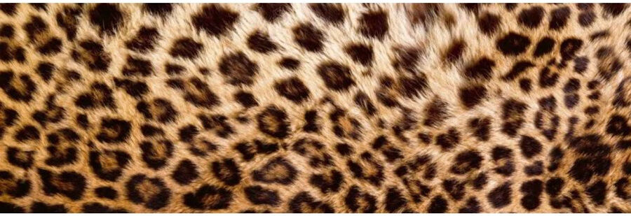 Keittiön välitila Leopard skin 350x60 cm Keittiön välitila Leopard skin 350x60 cm